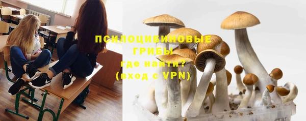 хмурый Ладушкин