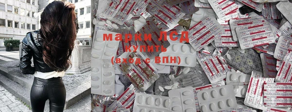 хмурый Ладушкин