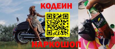 спиды Гай