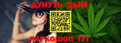 спиды Гай