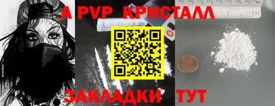 спиды Гай