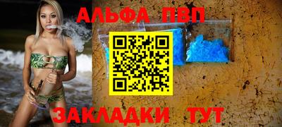 спиды Гай
