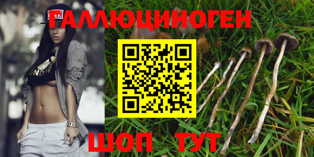 Галлюциногенные грибы ЛСД  Псилоцибиновые грибы Magic Shrooms  Псков  Вход с VPN 