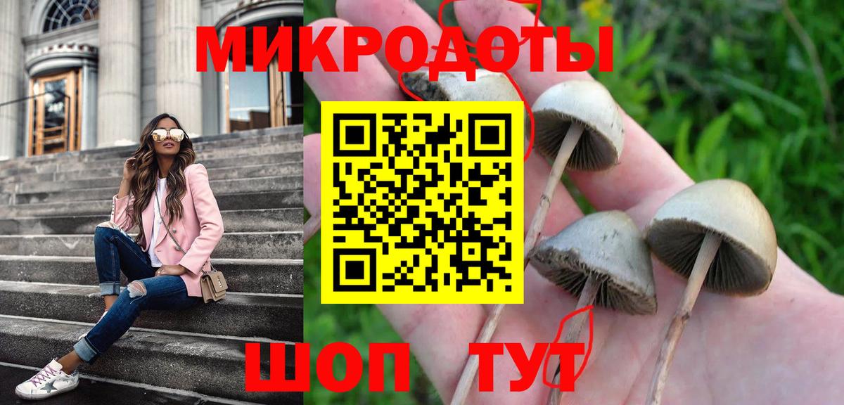 Галлюциногенные грибы GOLDEN TEACHER Псков