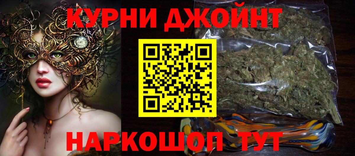 Бошки Шишки планчик Псков